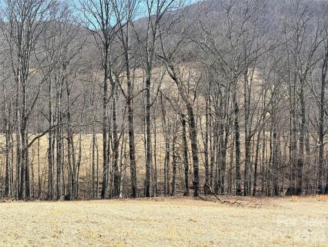 Lot 1 Elk Creek Mountain Parkway Todd NC 28684
