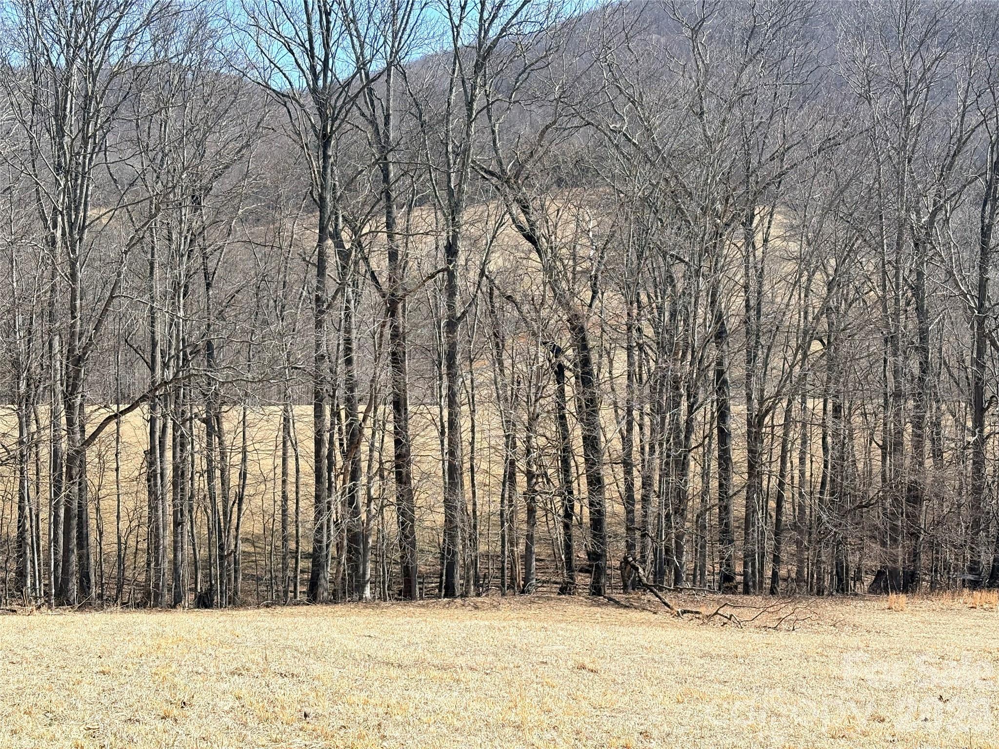 Lot 1 Elk Creek Mountain Parkway Todd NC 28684