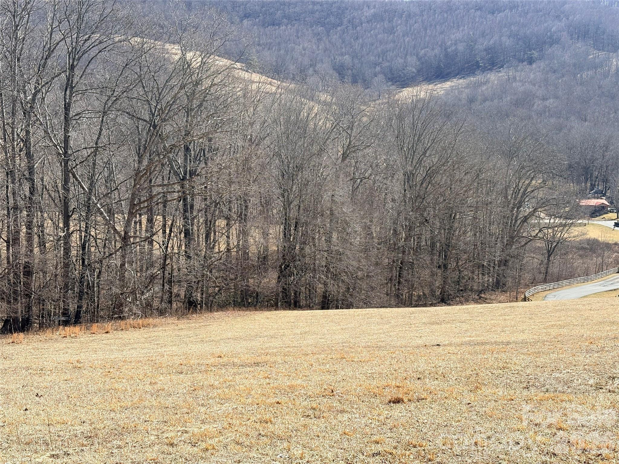 Lot 1 Elk Creek Mountain Parkway Todd NC 28684