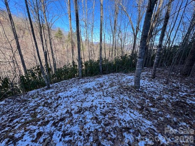 621 Round Top Road Almond NC 28702