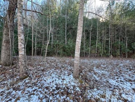 621 Round Top Road Almond NC 28702