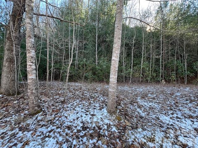 621 Round Top Road Almond NC 28702