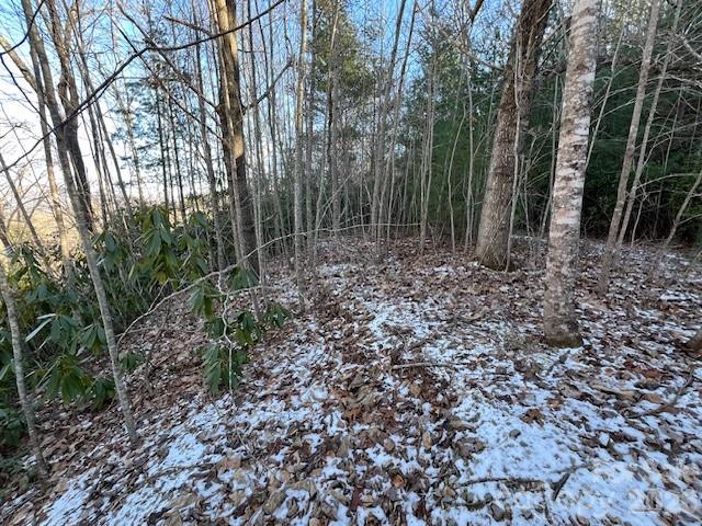 621 Round Top Road Almond NC 28702