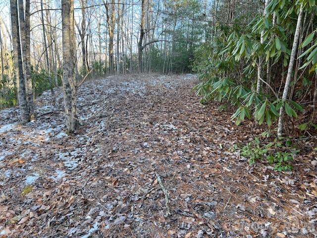 621 Round Top Road Almond NC 28702
