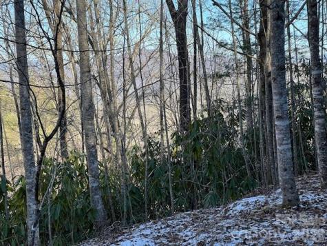 621 Round Top Road Almond NC 28702