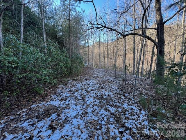 621 Round Top Road Almond NC 28702