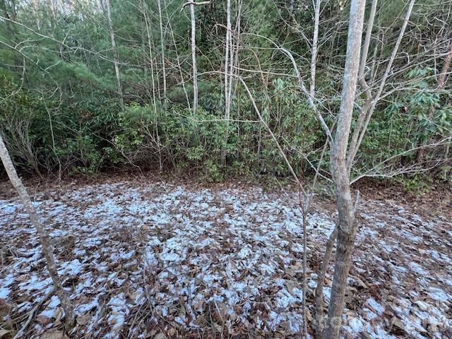 621 Round Top Road Almond NC 28702