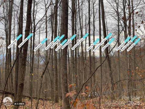805 Sparkling Falls Road Whittier NC 28789