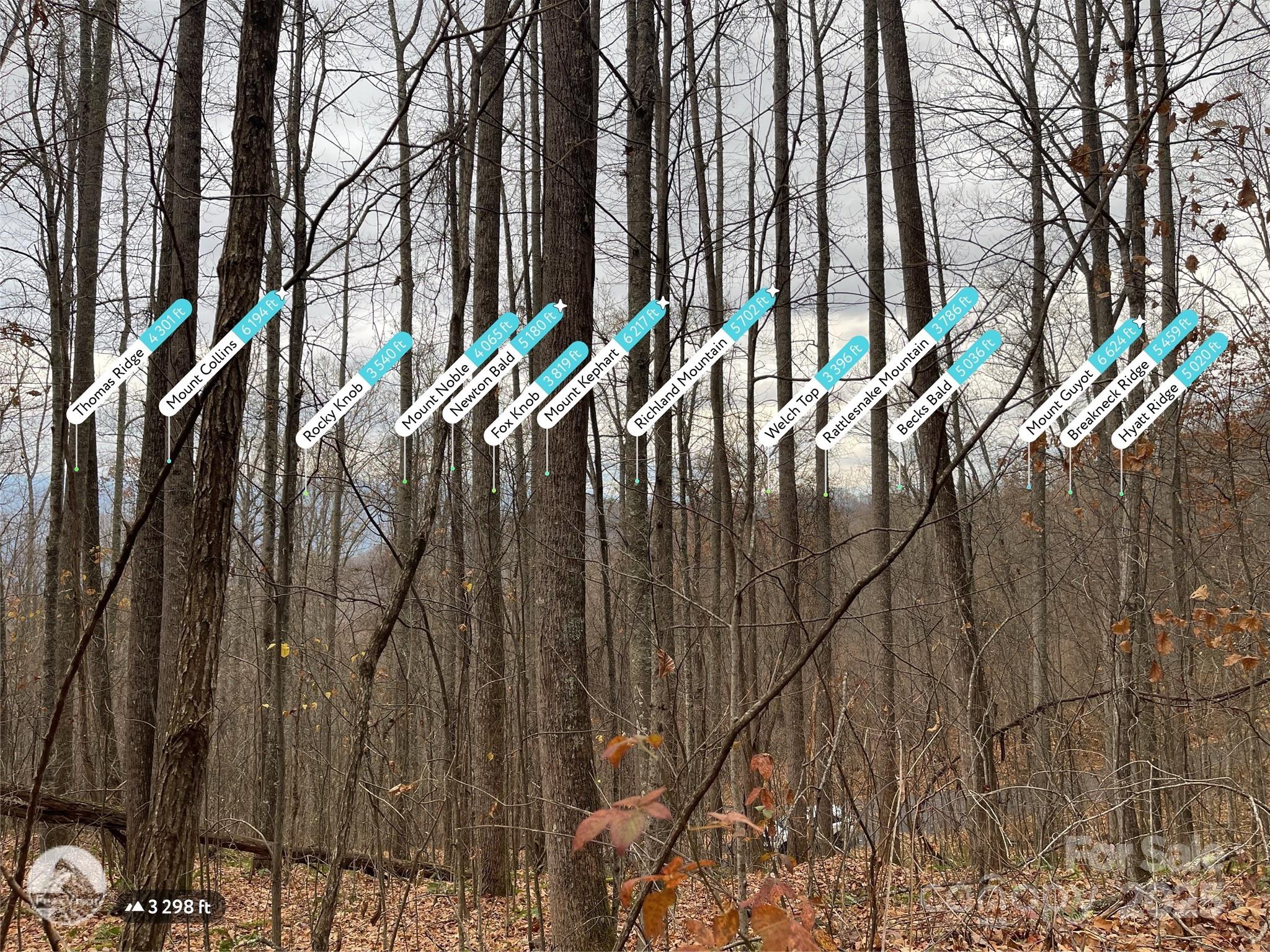805 Sparkling Falls Road Whittier NC 28789