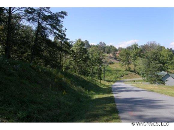 67 Magnolia Farms Drive Asheville NC 28806