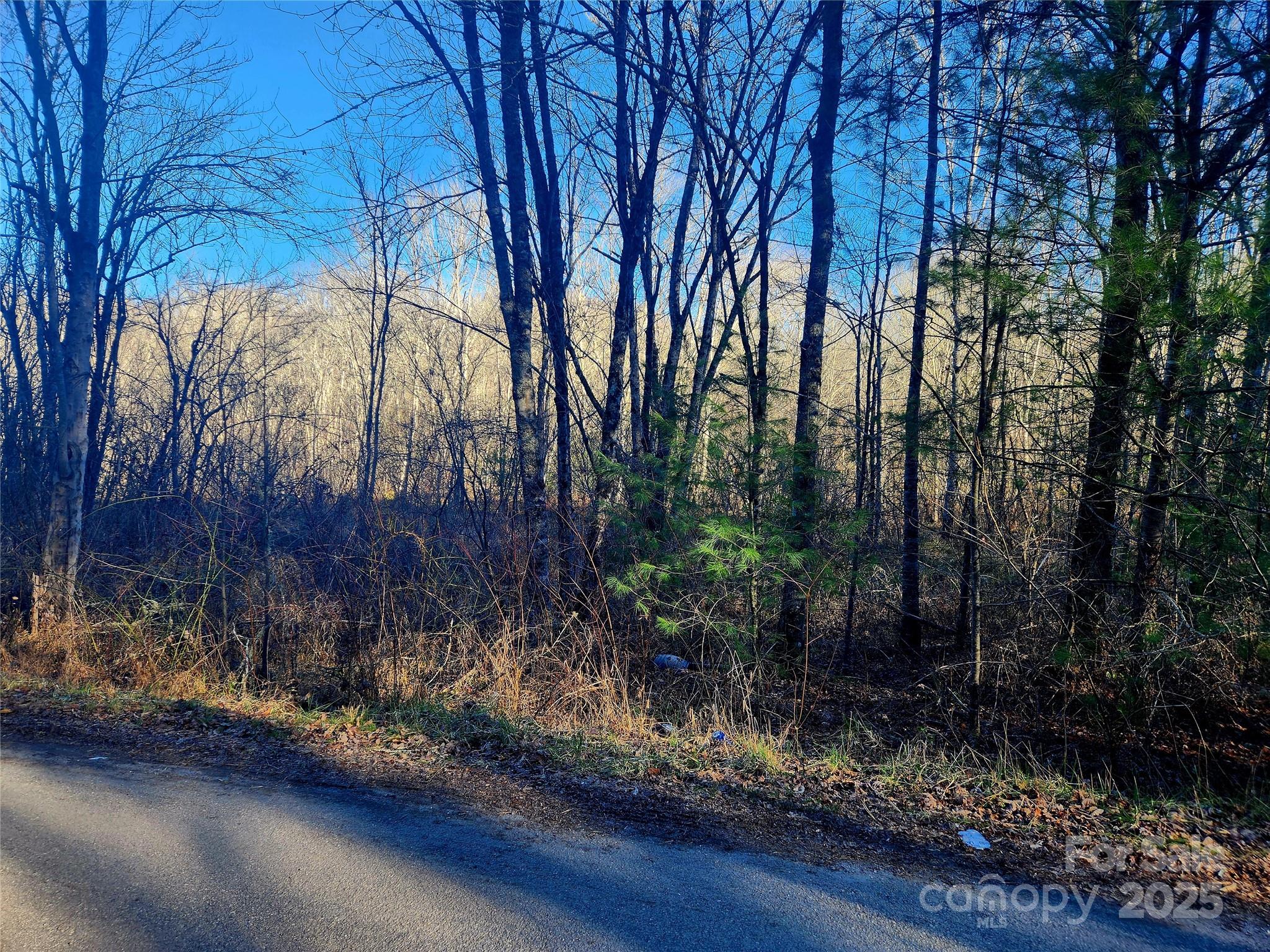 340 Lyle Wilson Road Cullowhee NC 28723