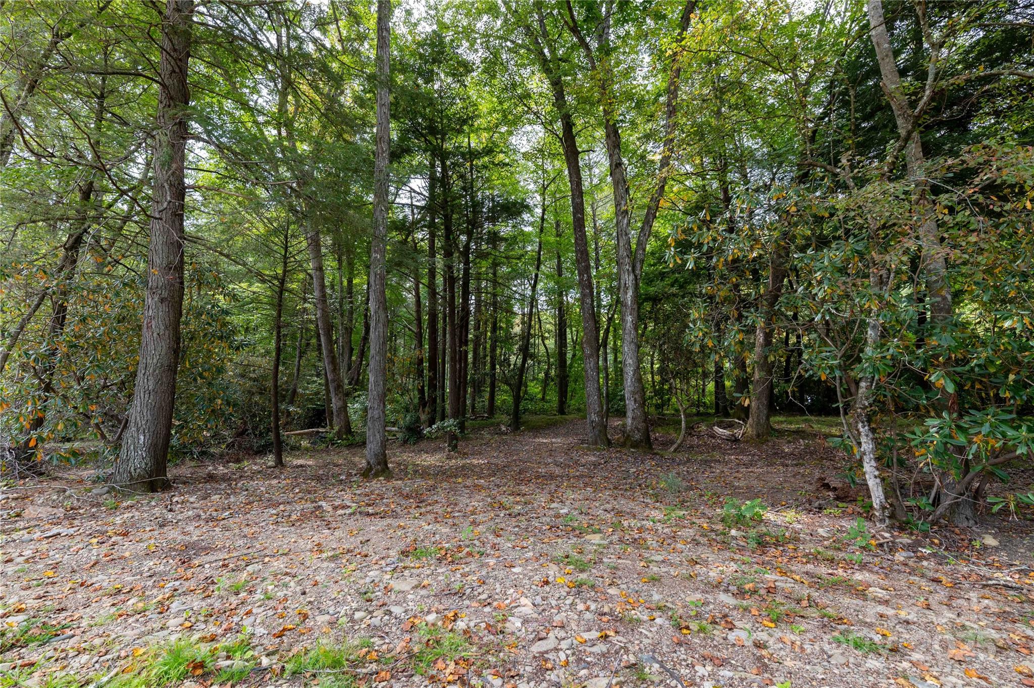 188 Sweetwater Ridge Burnsville NC 28740
