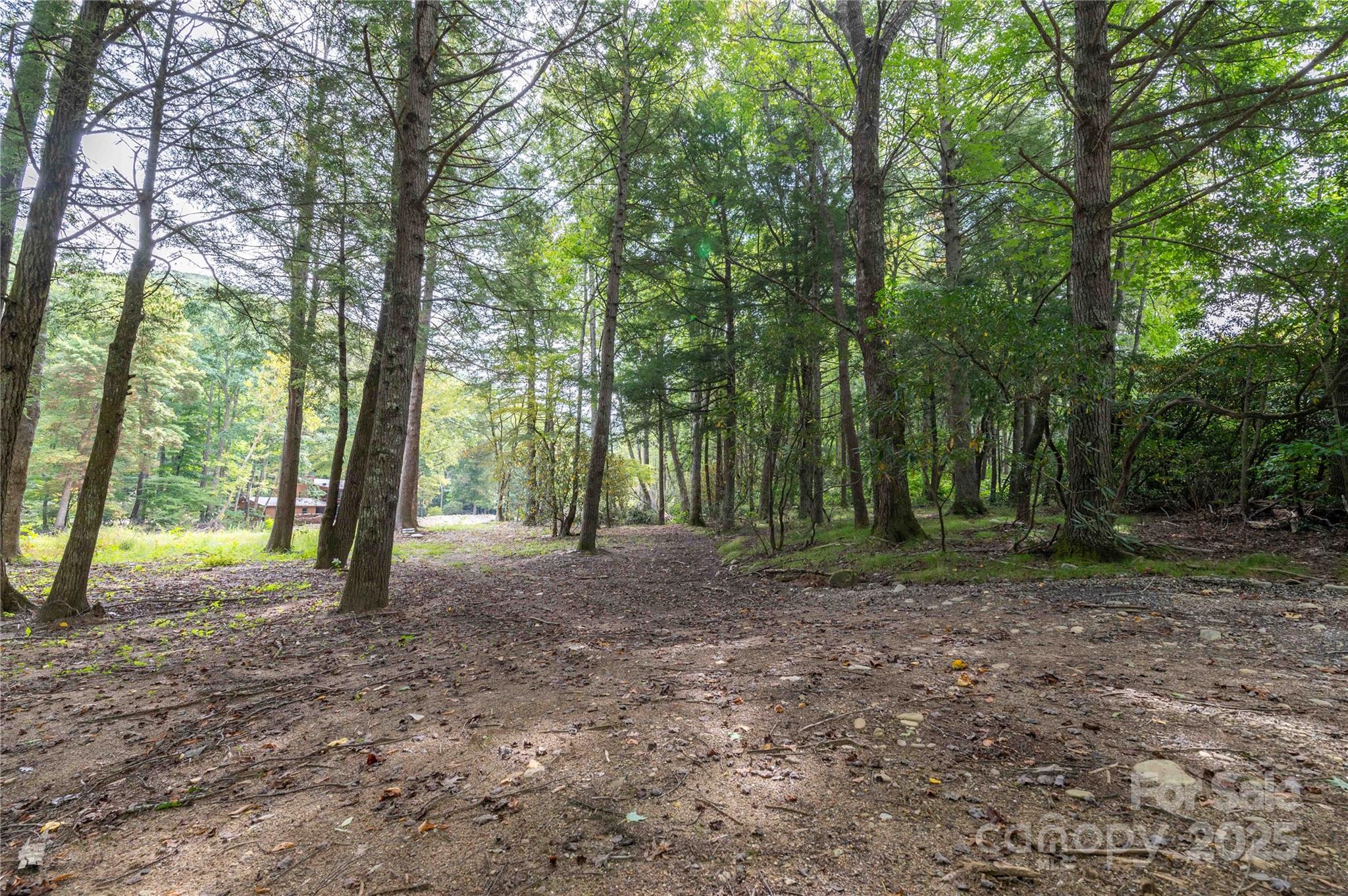 188 Sweetwater Ridge Burnsville NC 28740