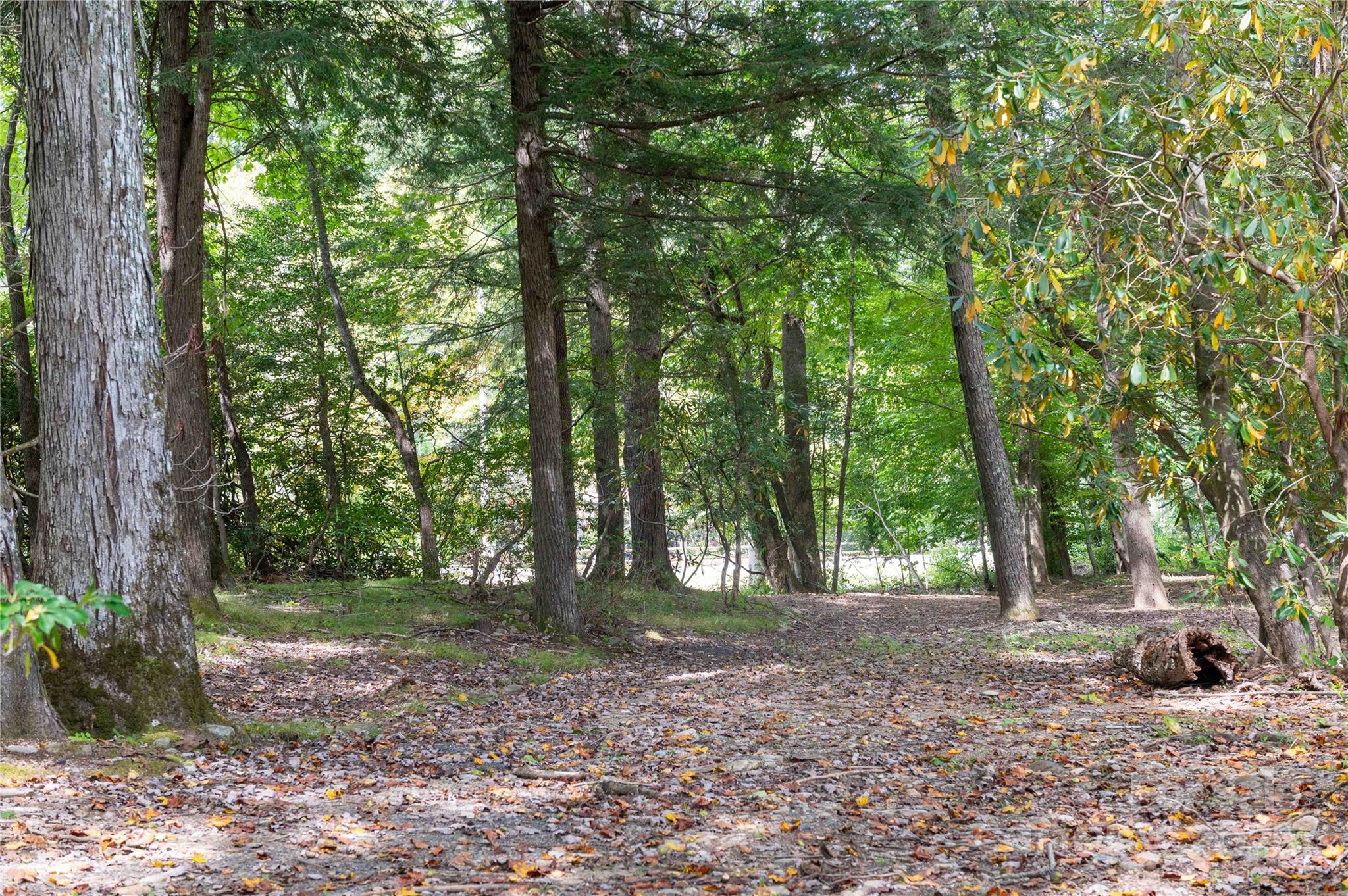188 Sweetwater Ridge Burnsville NC 28740
