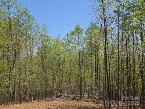 Lot 32 High Rock Ridge Lake Lure NC 28746