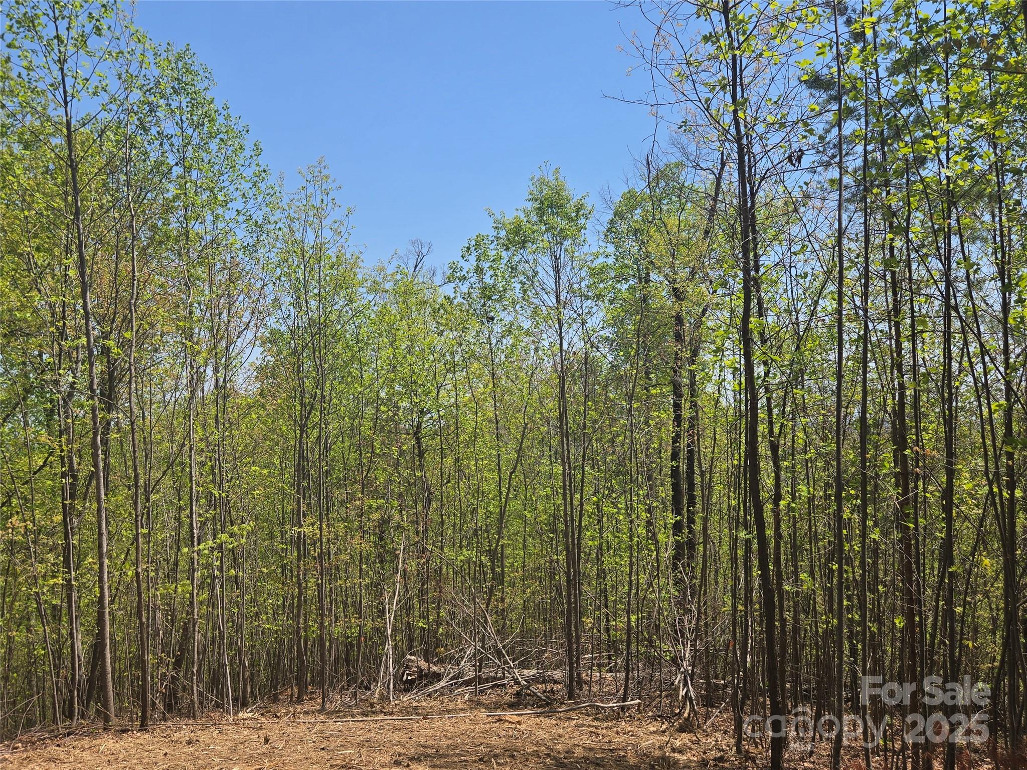 Lot 32 High Rock Ridge Lake Lure NC 28746