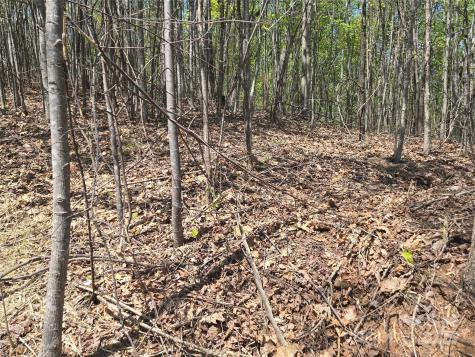 Lot 32 High Rock Ridge Lake Lure NC 28746