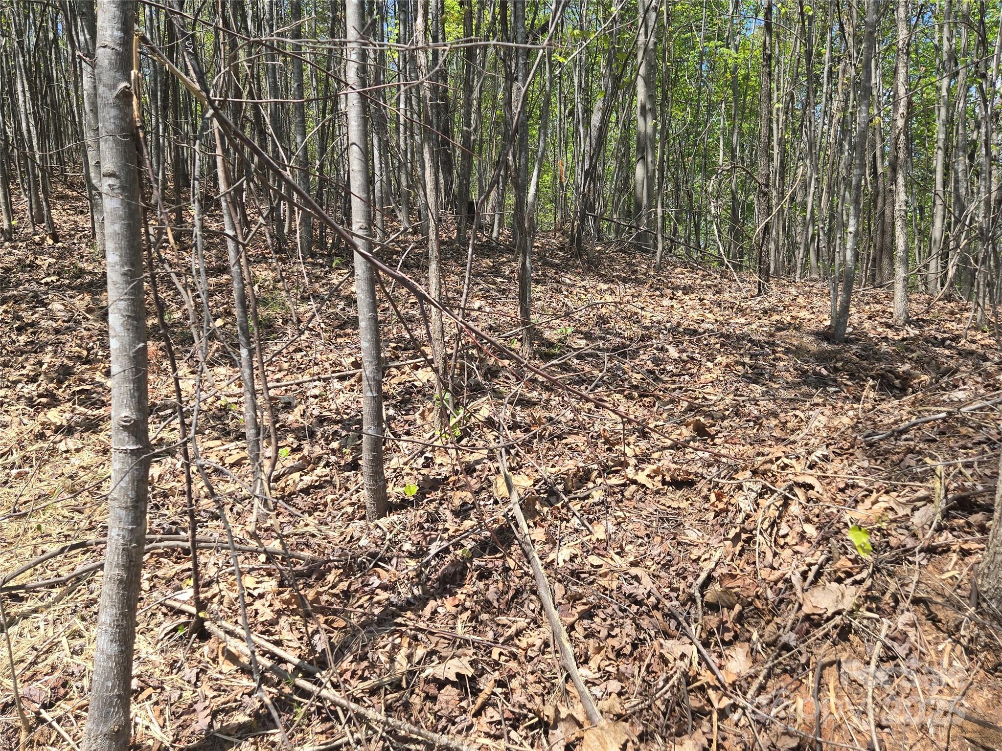 Lot 32 High Rock Ridge Lake Lure NC 28746