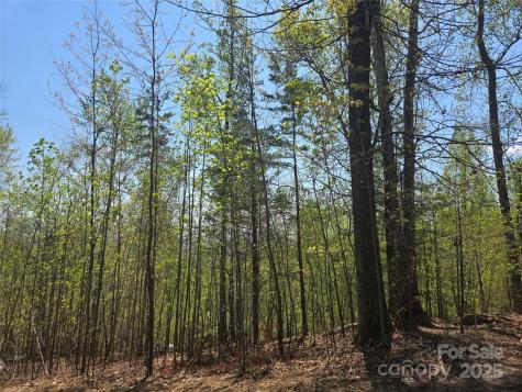 Lot 32 High Rock Ridge Lake Lure NC 28746