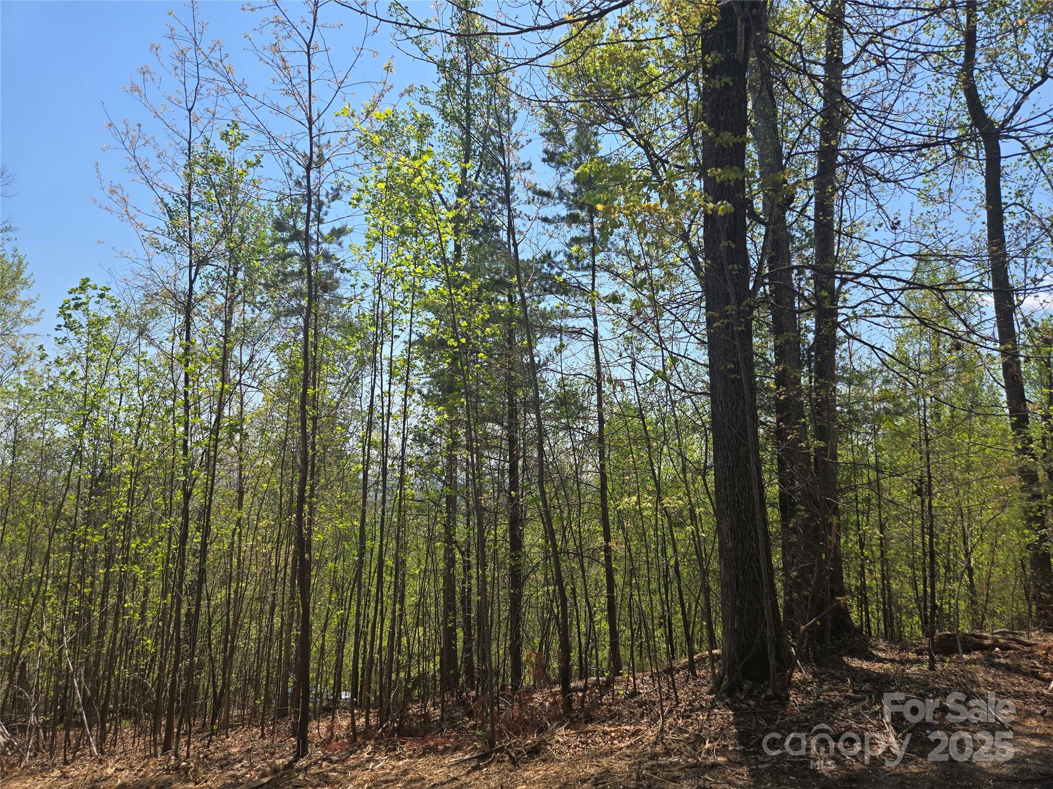 Lot 32 High Rock Ridge Lake Lure NC 28746