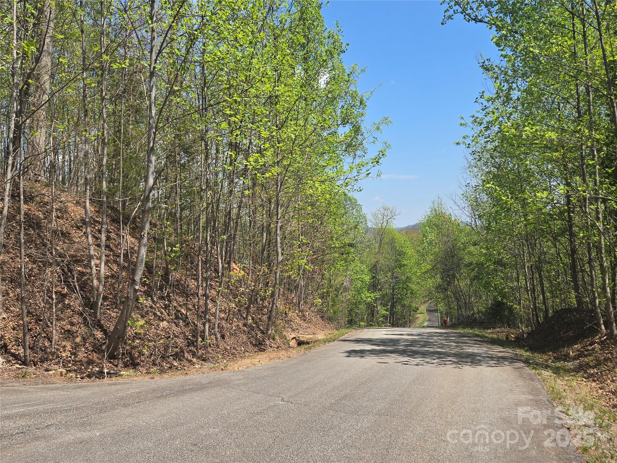 Lot 32 High Rock Ridge Lake Lure NC 28746
