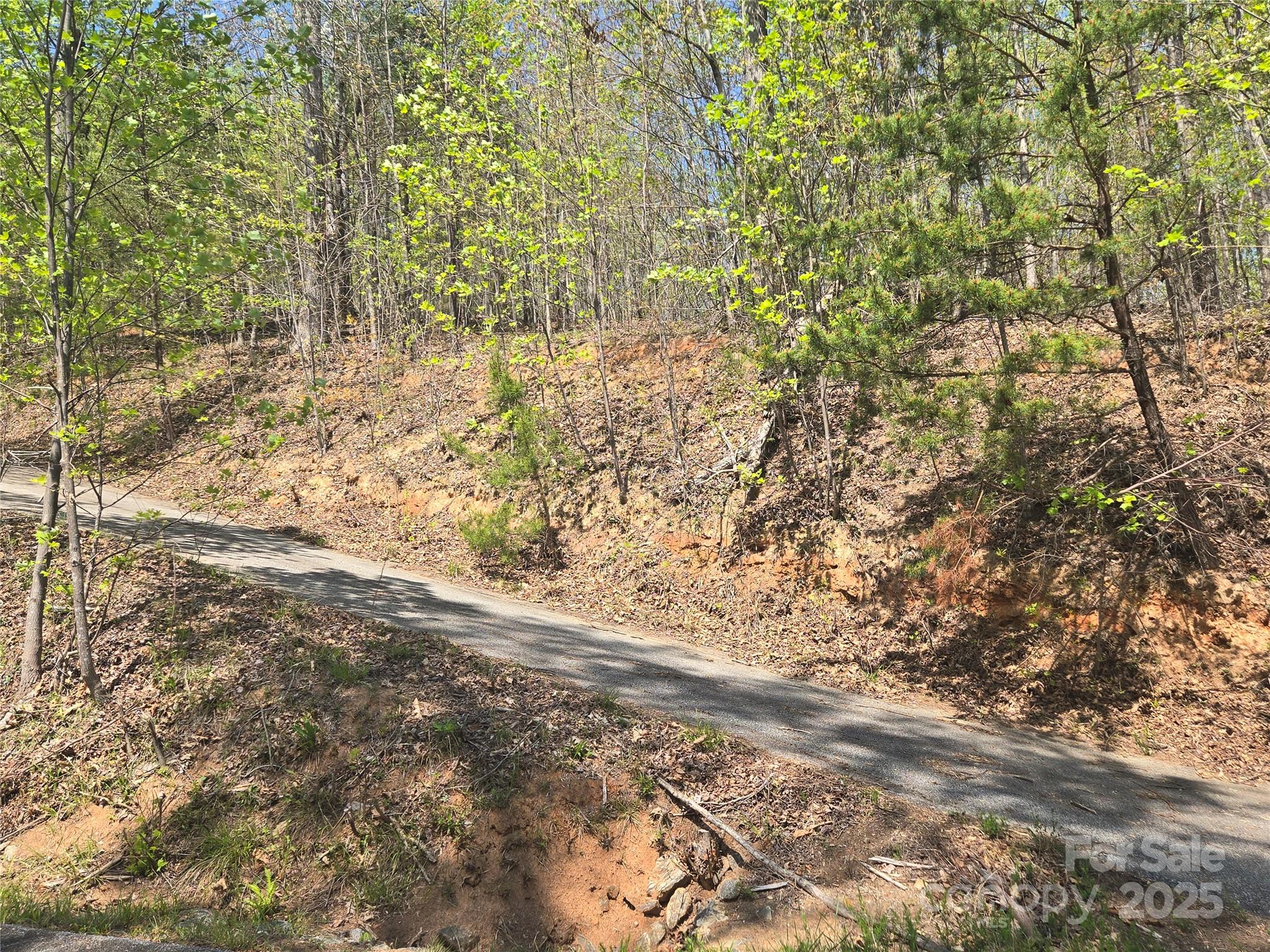 Lot 32 High Rock Ridge Lake Lure NC 28746