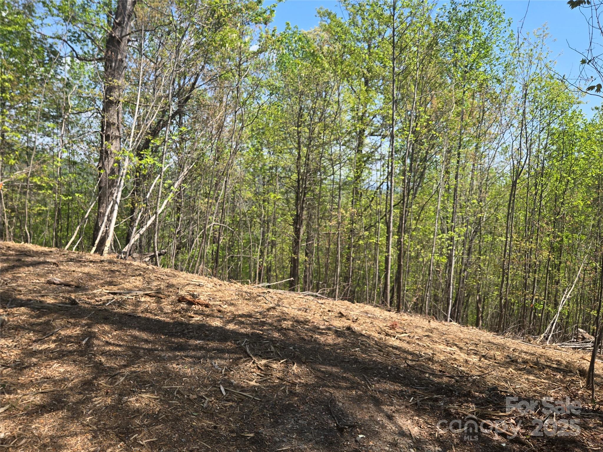 Lot 32 High Rock Ridge Lake Lure NC 28746