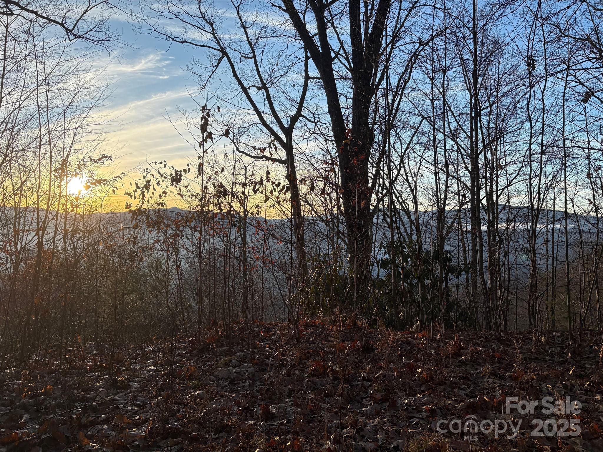 899 Hyacinth Drive Clyde NC 28721