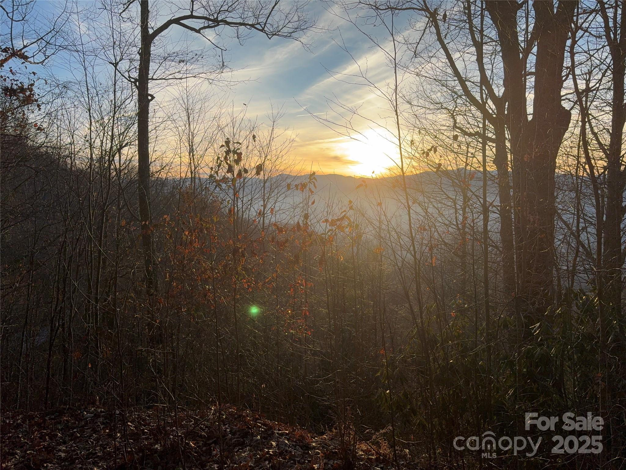 899 Hyacinth Drive Clyde NC 28721