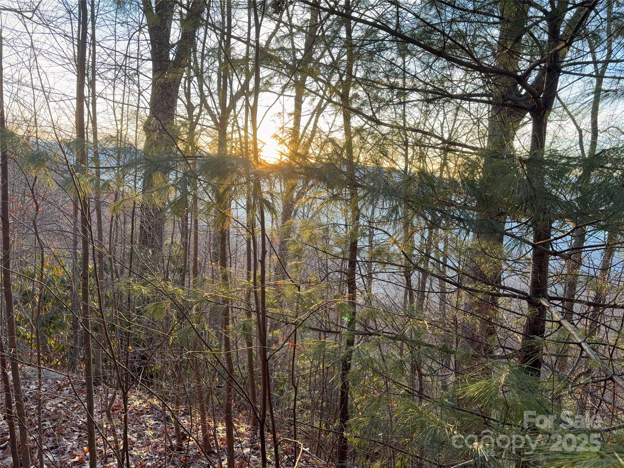 899 Hyacinth Drive Clyde NC 28721