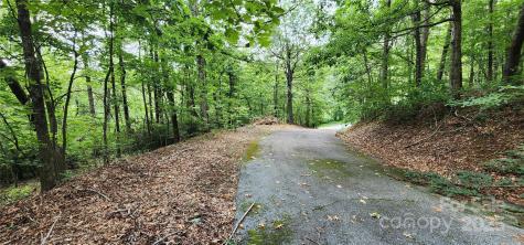 Lot 31 White Oak Mountain Road Columbus NC 28722