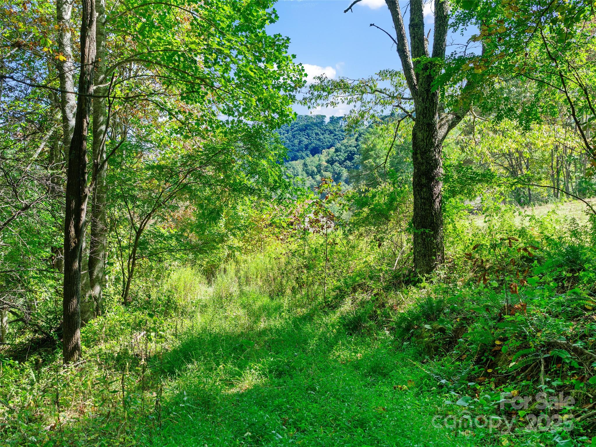 1099 Silas Branch Road Burnsville NC 28714