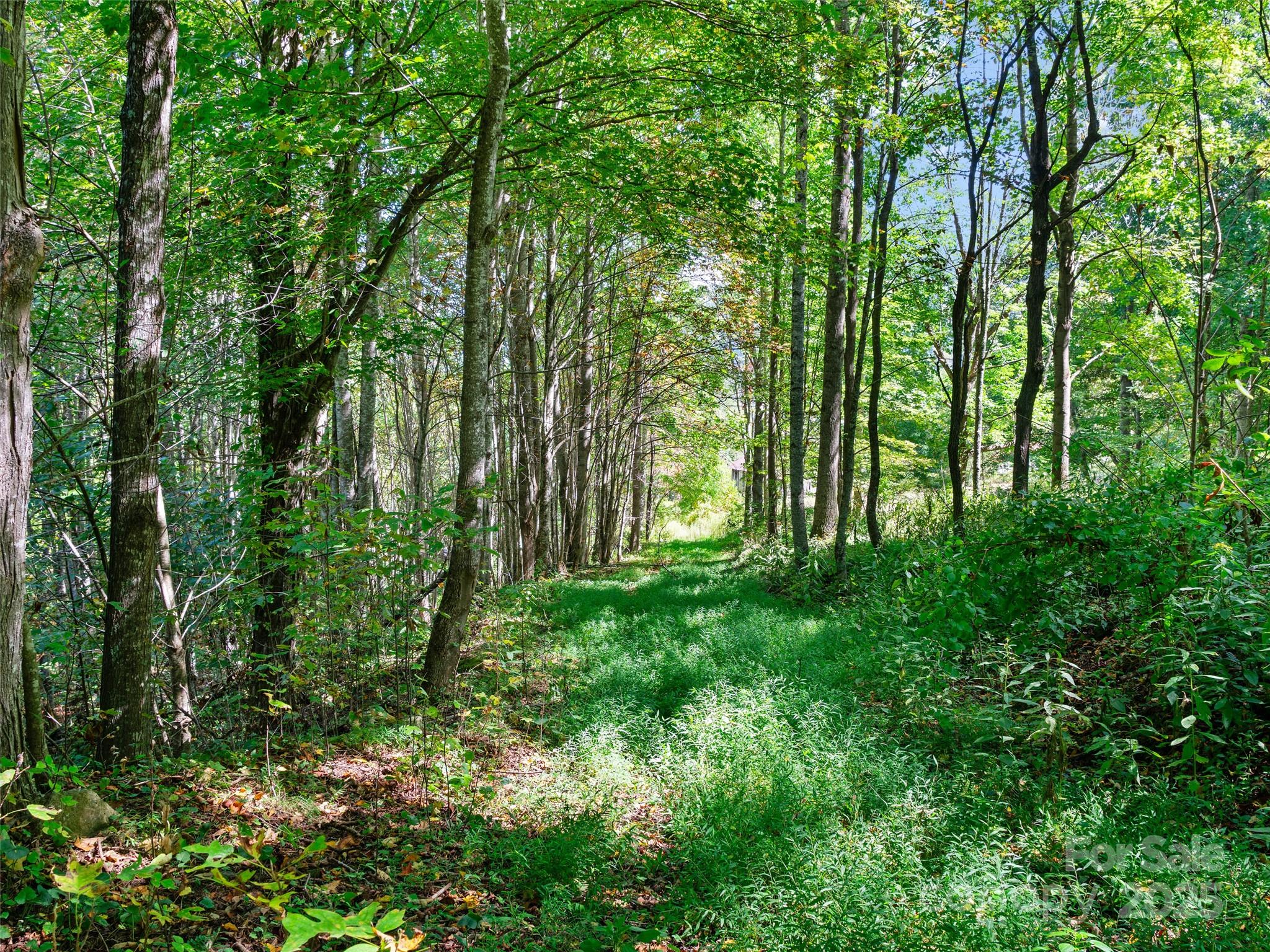 1099 Silas Branch Road Burnsville NC 28714