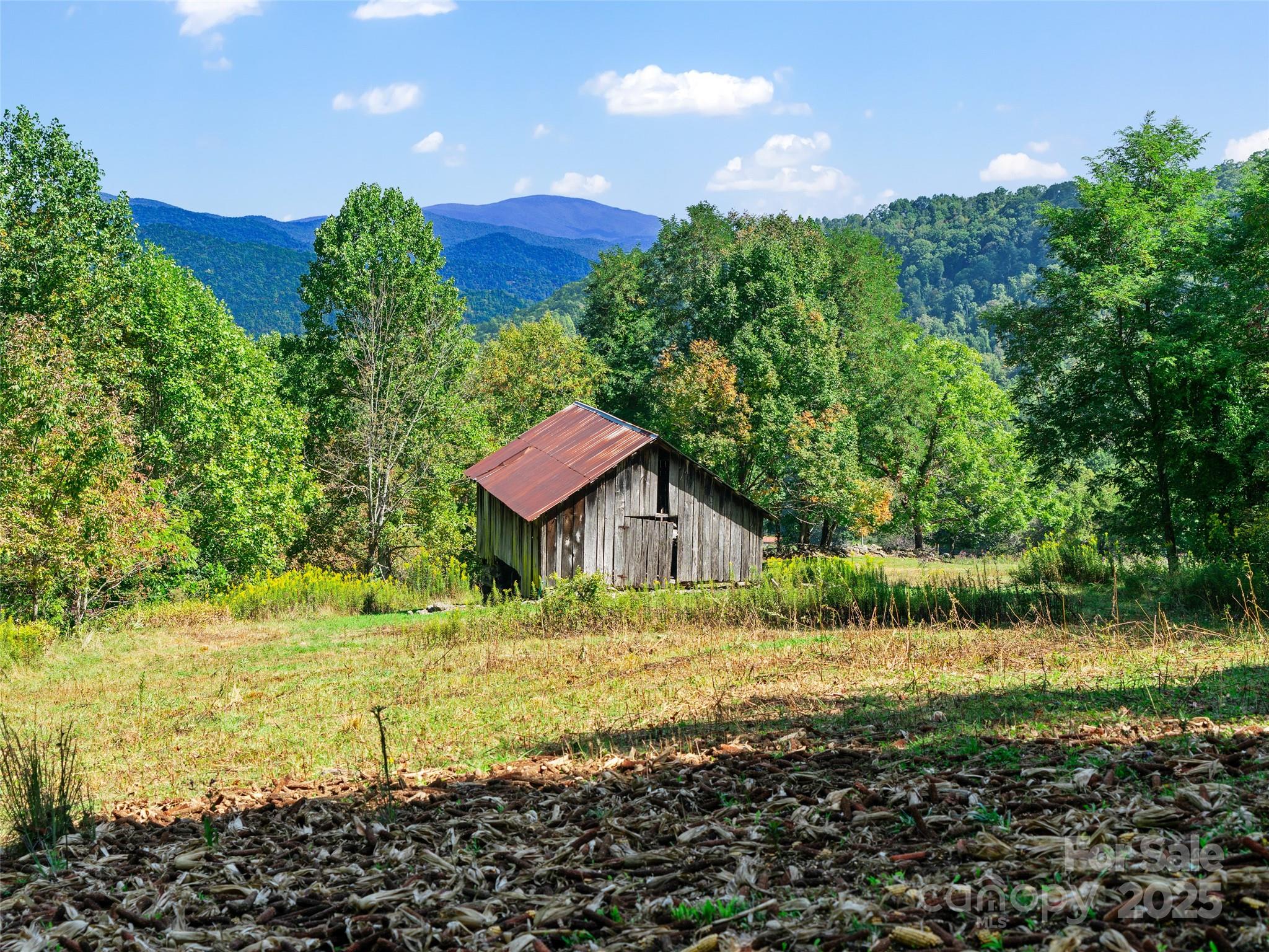 1099 Silas Branch Road Burnsville NC 28714