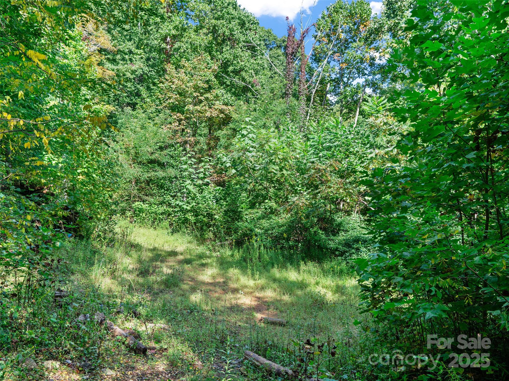 1099 Silas Branch Road Burnsville NC 28714
