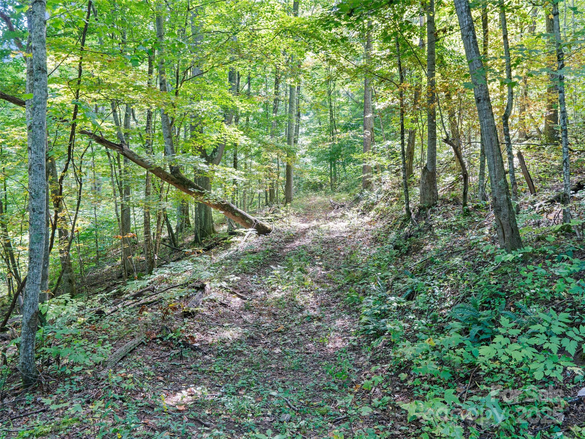 1099 Silas Branch Road Burnsville NC 28714