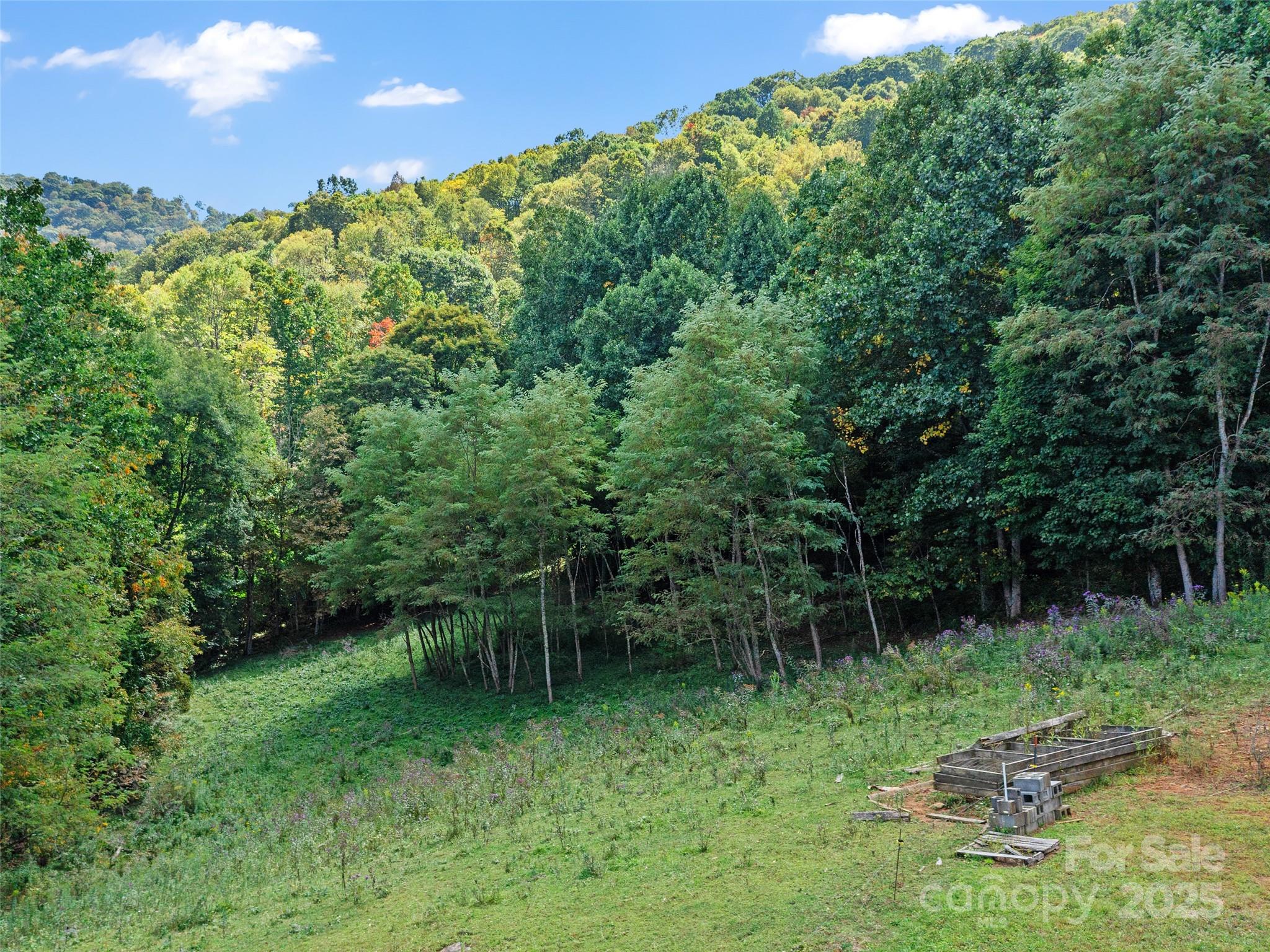 1099 Silas Branch Road Burnsville NC 28714