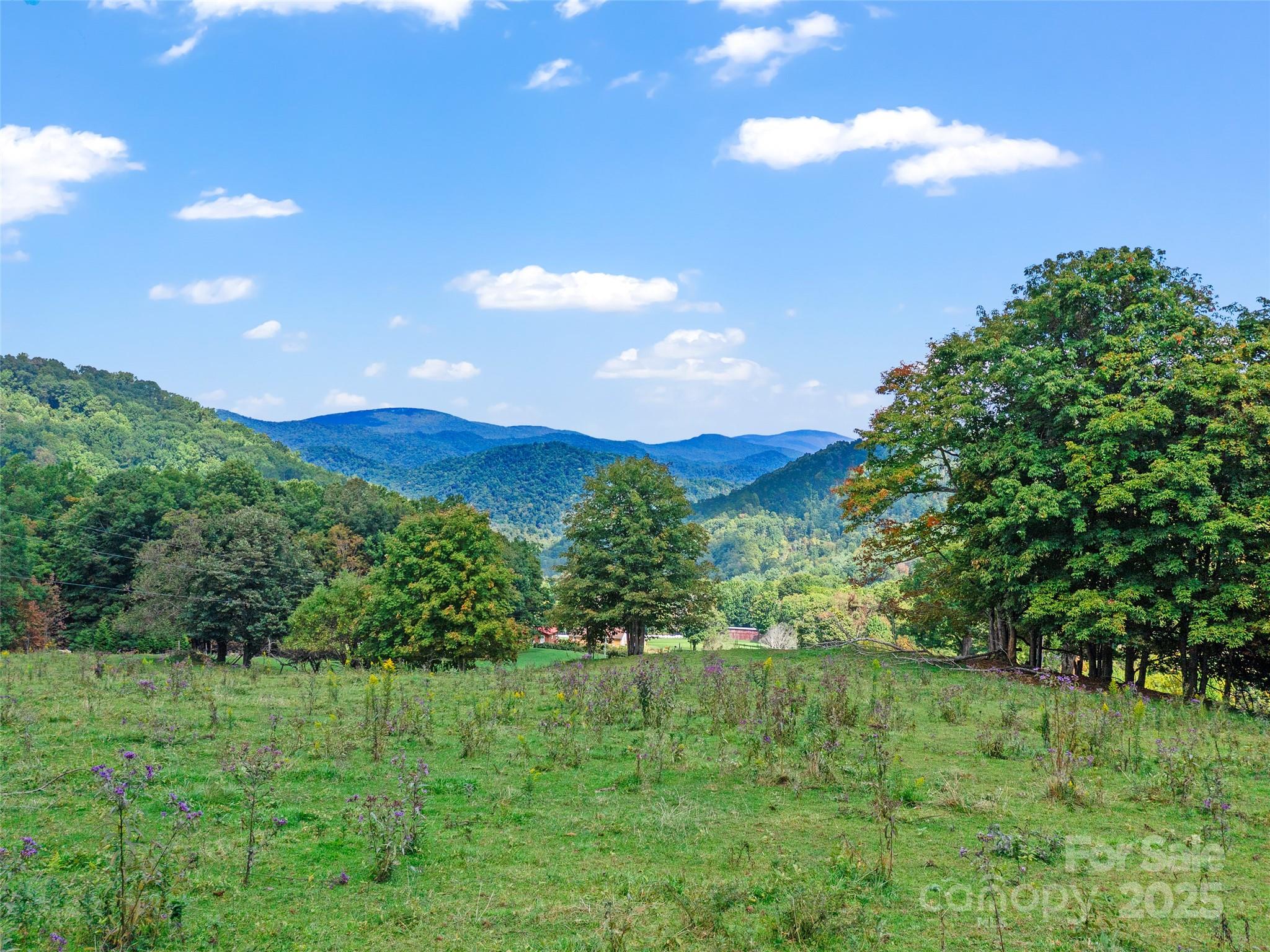 1099 Silas Branch Road Burnsville NC 28714