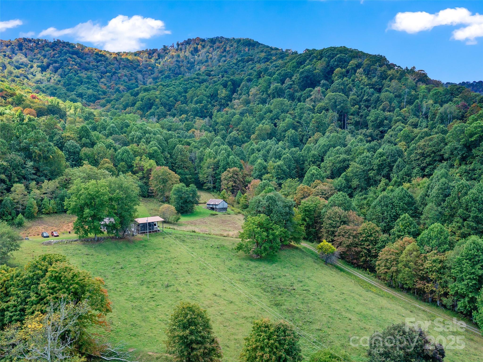1099 Silas Branch Road Burnsville NC 28714
