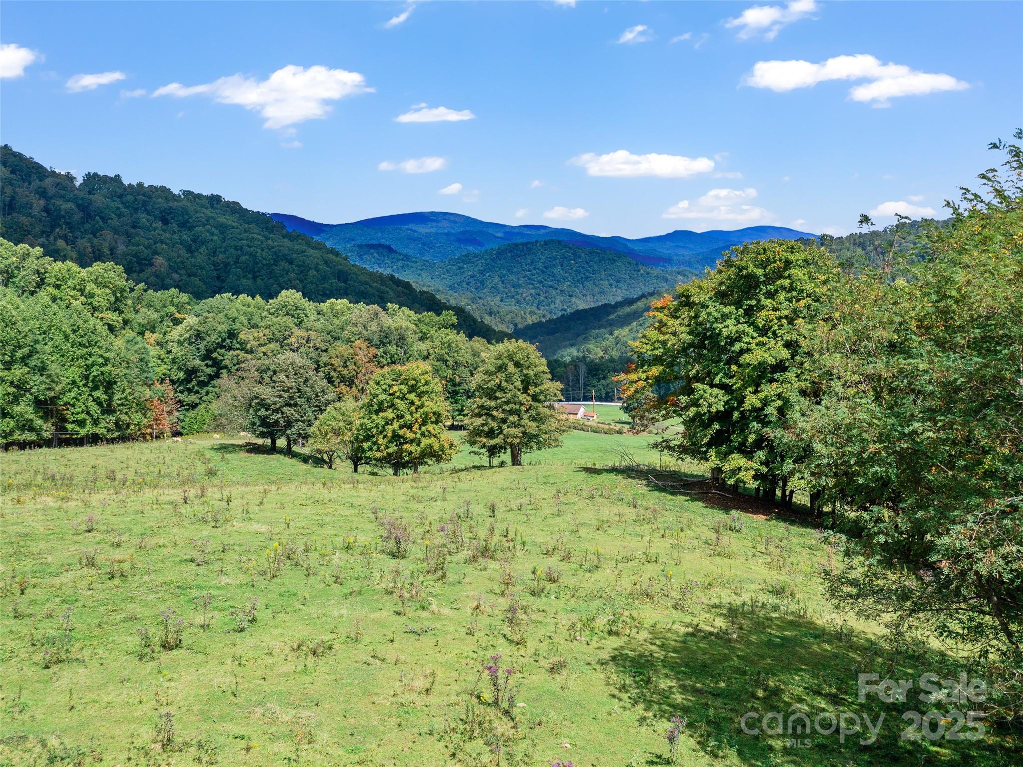 1099 Silas Branch Road Burnsville NC 28714