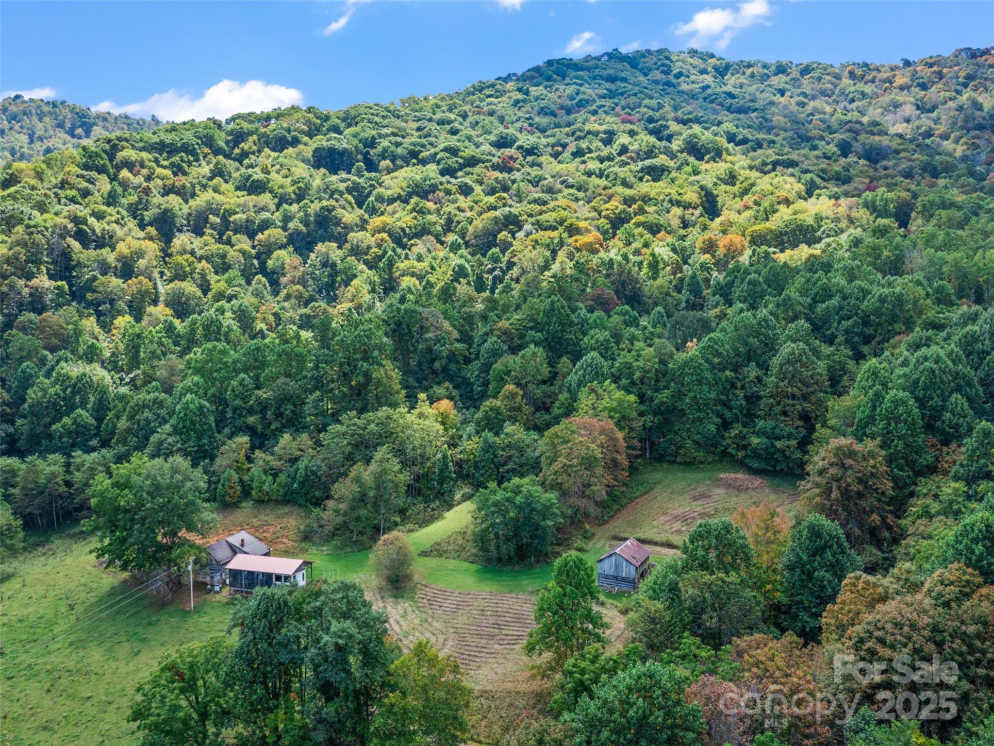 1099 Silas Branch Road Burnsville NC 28714