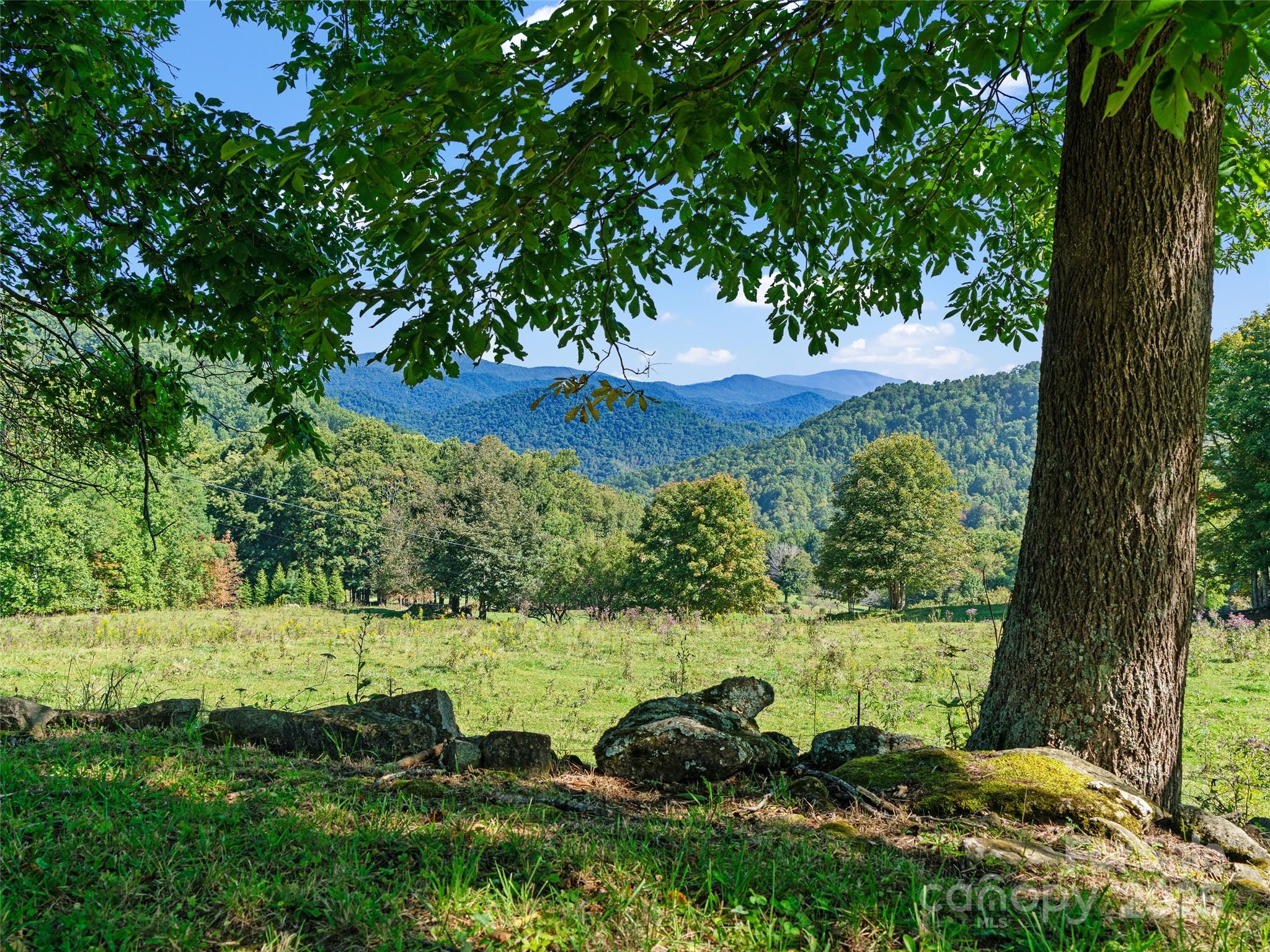 1099 Silas Branch Road Burnsville NC 28714