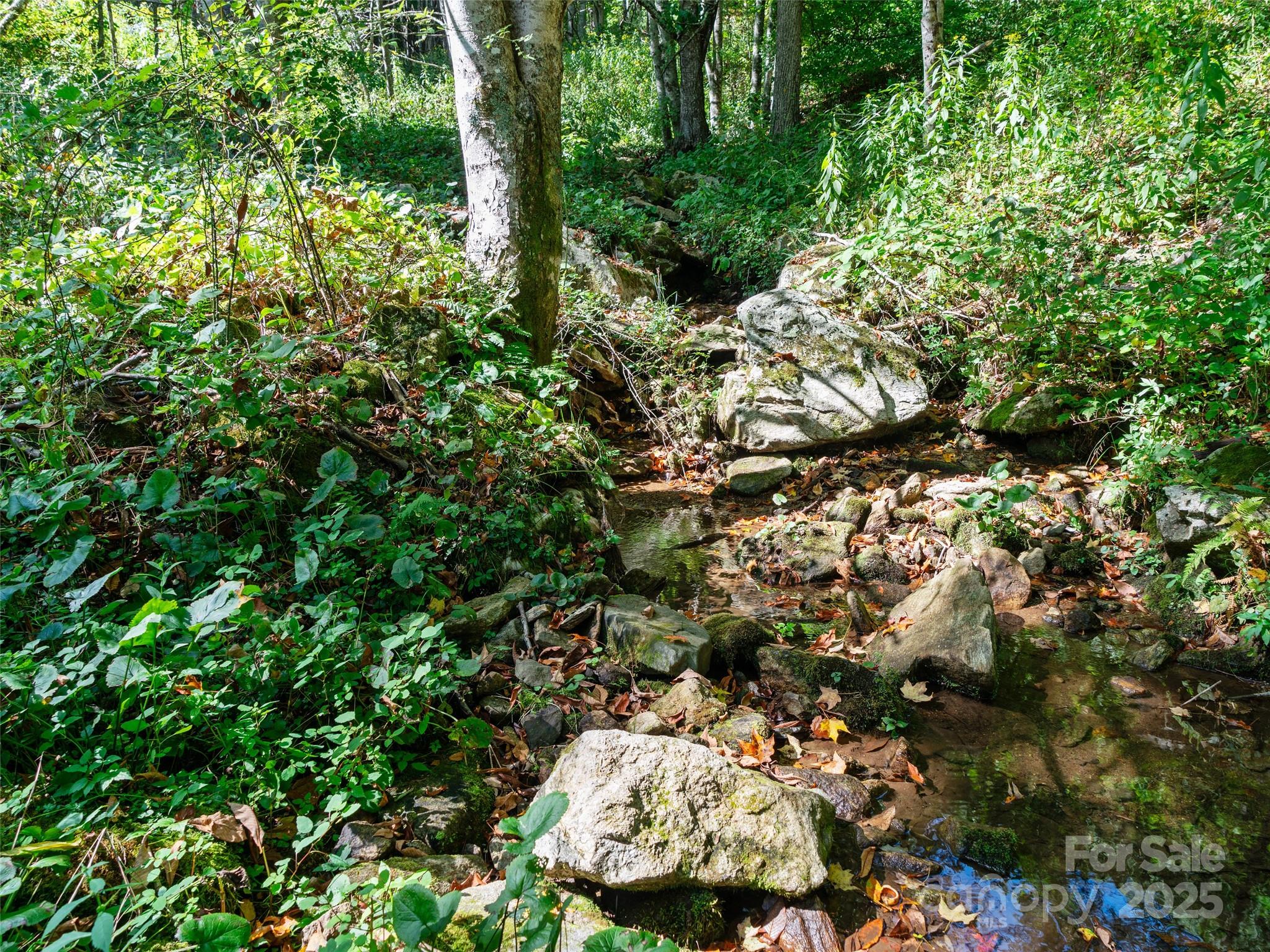 1099 Silas Branch Road Burnsville NC 28714
