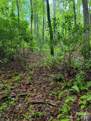 000 Rocky Top Road Lenoir NC 28645