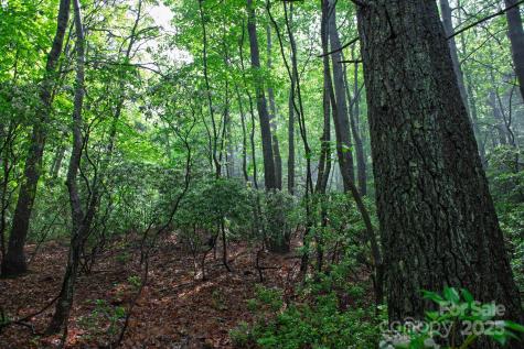 000 Rocky Top Road Lenoir NC 28645