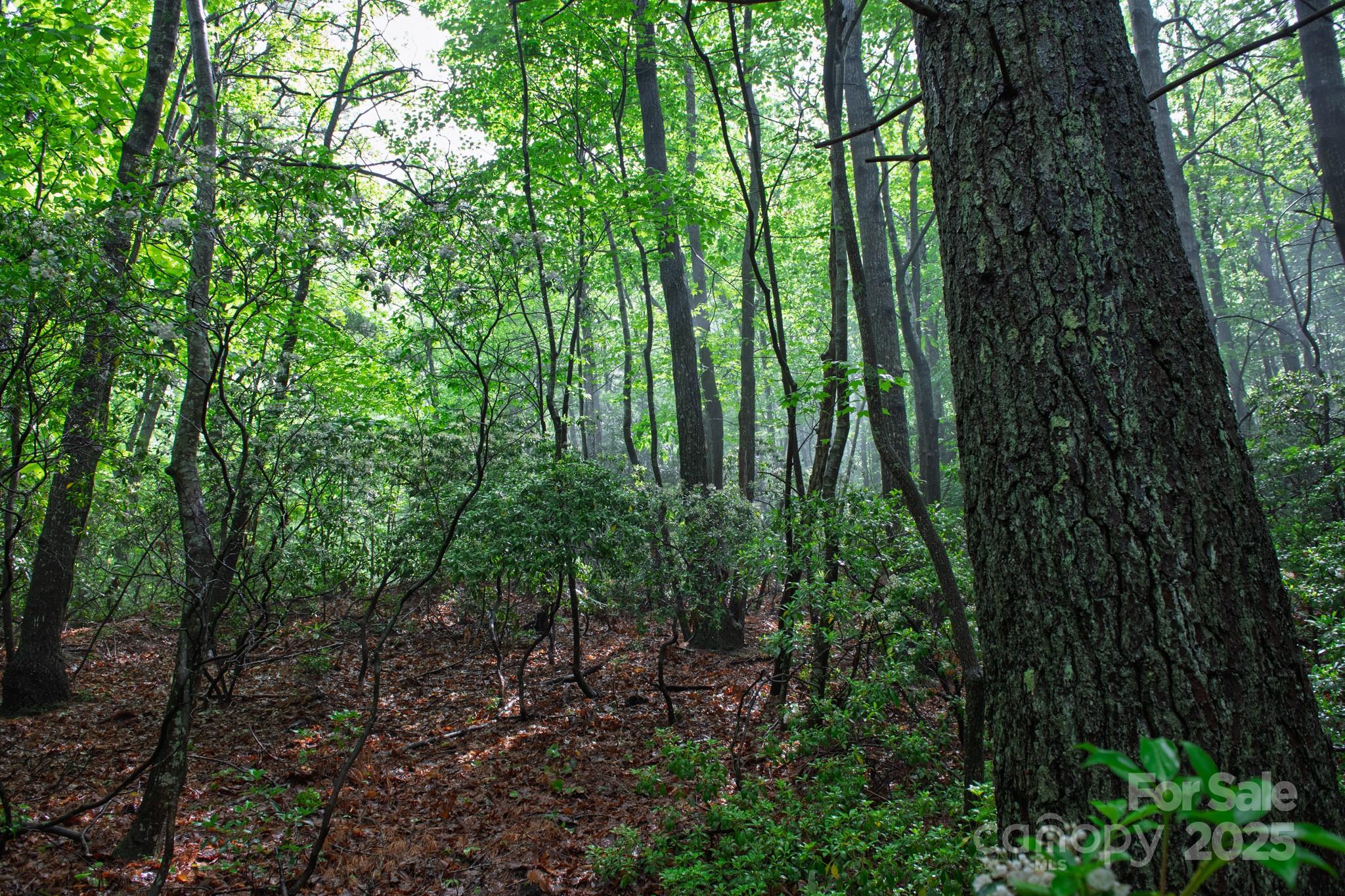 000 Rocky Top Road Lenoir NC 28645