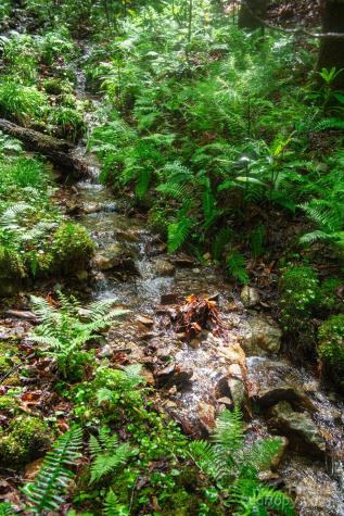 000 Rocky Top Road Lenoir NC 28645