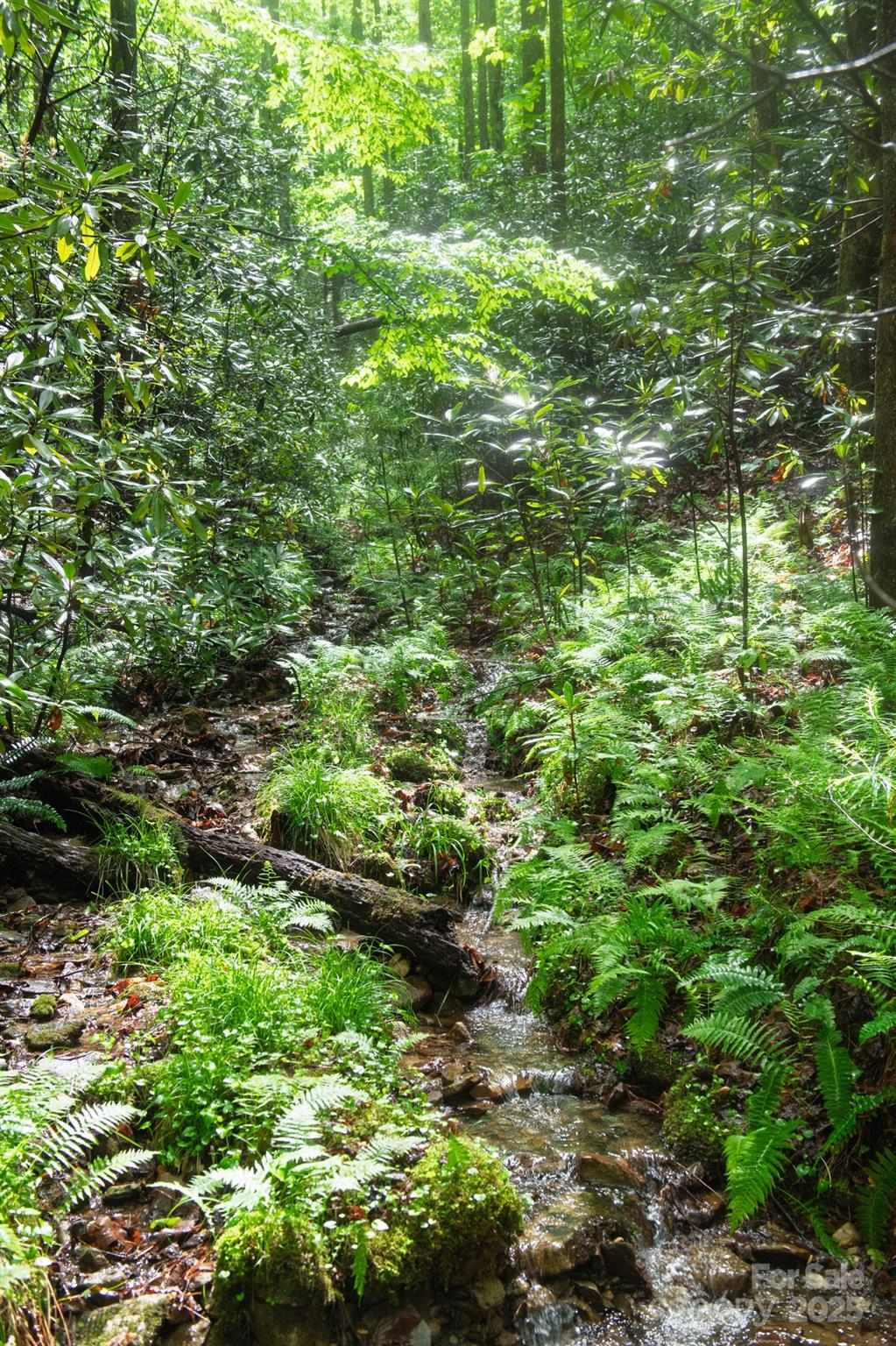 000 Rocky Top Road Lenoir NC 28645