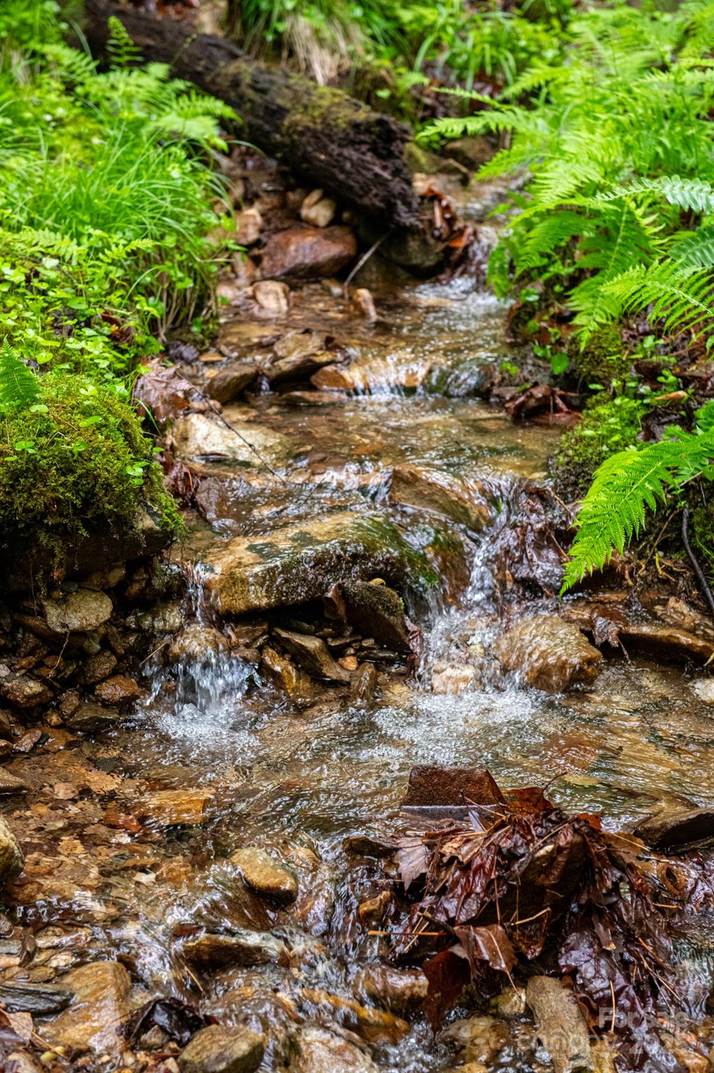 000 Rocky Top Road Lenoir NC 28645