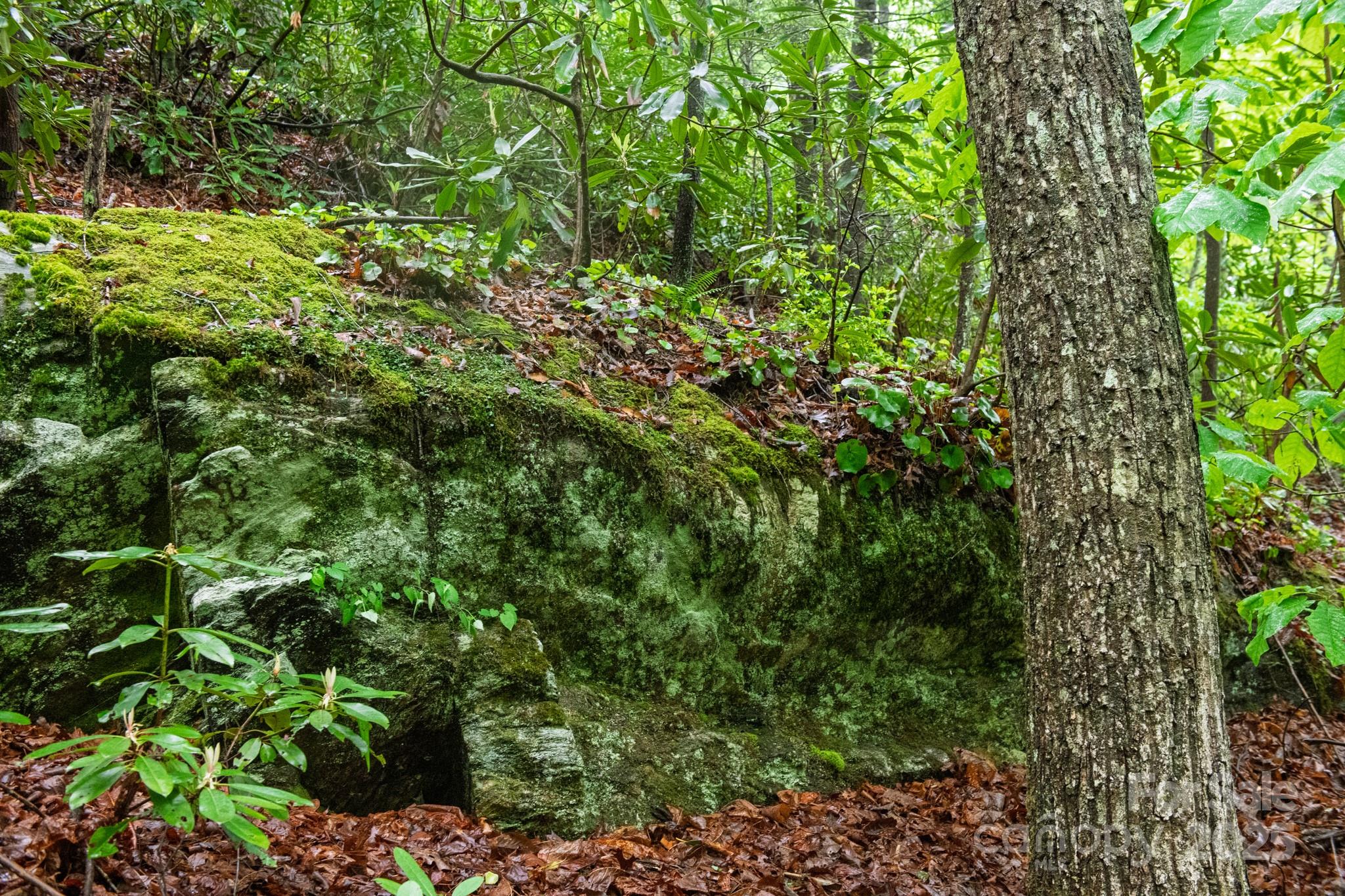 000 Rocky Top Road Lenoir NC 28645
